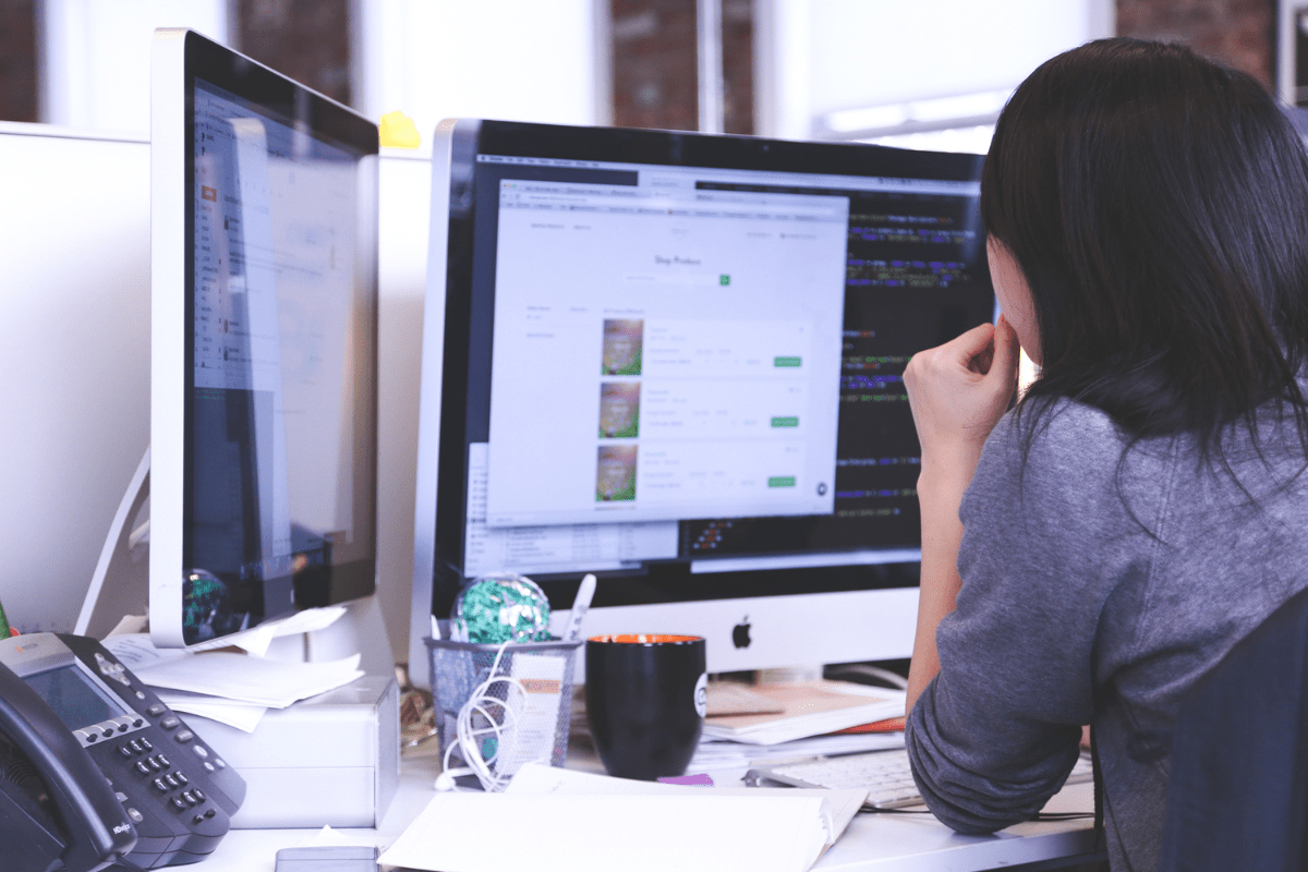 software Development