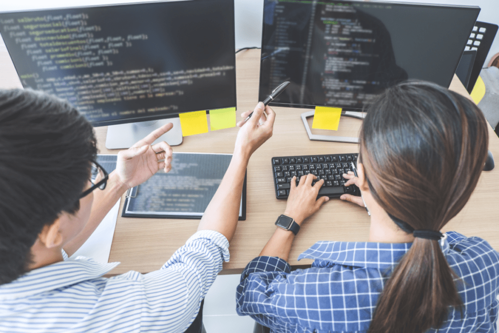software developers